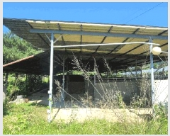  2025Ÿ��377 ��� ��õ�� ������ �簢�� 564      ���(�󰡽ü�)���