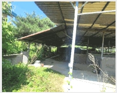  2025Ÿ��377 ��� ��õ�� ������ �簢�� 564      ���(�󰡽ü�)���