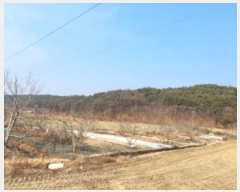  2025Ÿ��10361 ��� ���̽� ������ ���帮 76-1      ����(��)���