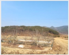  2025Ÿ��10361 ��� ���̽� ������ ���帮 76-1      ����(��)���