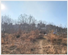  2025Ÿ��10361 ��� ���̽� ������ ���帮 76-1      ����(��)���