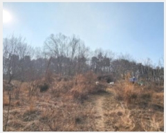  2025Ÿ��10361 ��� ���̽� ������ ���帮 76-1      ����(��)���