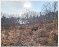  2025Ÿ��10361 ��� ���̽� ������ ���帮 76-1      ����(��)���