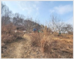  2025Ÿ��10361 ��� ���̽� ������ ���帮 76-1      ����(��)���