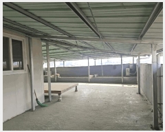  2025Ÿ��10805 ��� ���̽� ���� 1032-29       ���ڽü�,����,ȣ��,�������