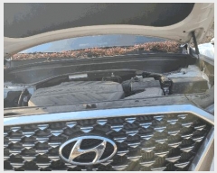  2025Ÿ��11437 ���̽� ������ 143, �ݿ��ڵ����ŸŴ����� �����ڵ������(�ΰ)      �������