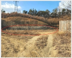  2025Ÿ��142 ��� ���̽� ����� ��ȣ�� 141-1      ����(�Ӿ�)���