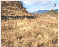  2025Ÿ��142 ��� ���̽� ����� ��ȣ�� 141-1      ����(�Ӿ�)���