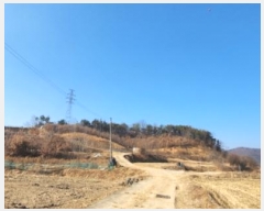  2025Ÿ��142 ��� ���̽� ����� ��ȣ�� 141-1      ����(�Ӿ�)���