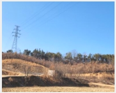  2025Ÿ��142 ��� ���̽� ����� ��ȣ�� 141-1      ����(�Ӿ�)���