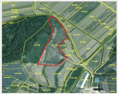  2025Ÿ��142 ��� ���̽� ����� ��ȣ�� 141-1      ����(�Ӿ�)���