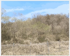  2025Ÿ��267 ��� ��õ�� ���ʸ� ���踮 434      ����(��1)���