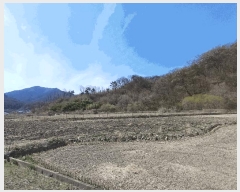  2025Ÿ��267 ��� ��õ�� ���ʸ� ���踮 434      ����(��1)���