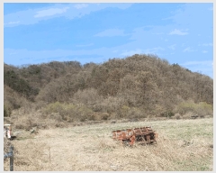  2025Ÿ��267 ��� ��õ�� ���ʸ� ���踮 434      ����(��1)���