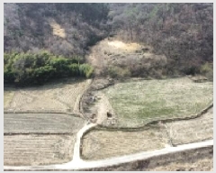  2025Ÿ��267 ��� ��õ�� ���ʸ� ���踮 434      ����(��1)���