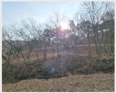  2025Ÿ10088  ̽ õ 帮 373      (1)