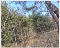  2025Ÿ10088  ̽ õ 帮 373      (1)