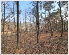  2025Ÿ10088  ̽ õ 帮 373      (1)