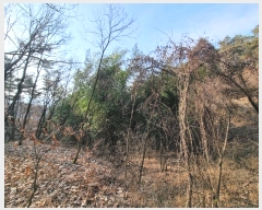  2025Ÿ10088  ̽ õ 帮 373      (1)