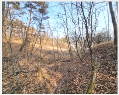  2025Ÿ10088  ̽ õ 帮 373      (1)