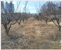  2025Ÿ��10170  ����