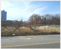  2025Ÿ��10170  ����