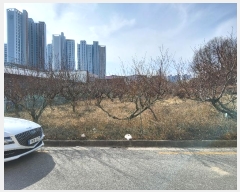  2025Ÿ��10170  ����