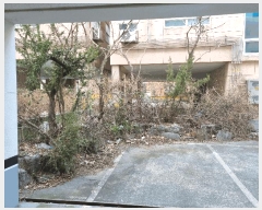  2025Ÿ10224  ̽  275-7       ܵ,ð