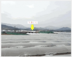  2025Ÿ��10699 ��� ��õ�� ���׸� ��渮 379      ����(��)���