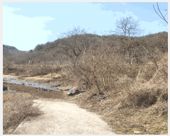  2025Ÿ��10800  �����