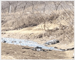  2025Ÿ��10800  �����