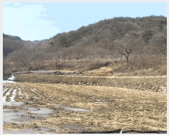  2025Ÿ��10800  �����