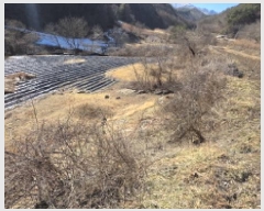  2025Ÿ��10800  �����