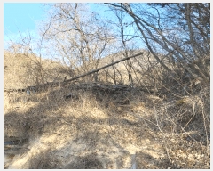  2025Ÿ��10809 ��� ���̽� ����� ������ 675      ����(��)���