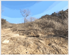  2025Ÿ��10809 ��� ���̽� ����� ������ 675      ����(��)���