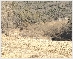  2025Ÿ��10809 ��� ���̽� ����� ������ 675      ����(��)���