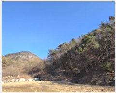  2025Ÿ��10809 ��� ���̽� ����� ������ 675      ����(��)���