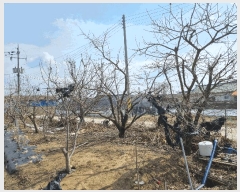  2025Ÿ��10811  ���ð��