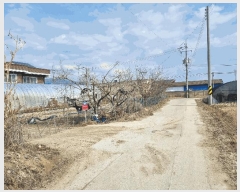  2025Ÿ��10811  ���ð��