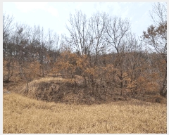  2025Ÿ��10825  �����