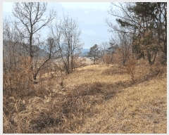  2025Ÿ��10825  �����