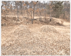  2025Ÿ��10825  �����