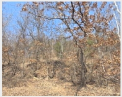  2025Ÿ��10825  �����