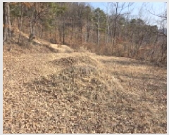  2025Ÿ��10825  �����