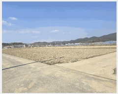  2025Ÿ��10859  ����