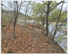  2025Ÿ��10943  ����