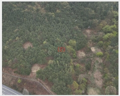  2025Ÿ��10943  ����