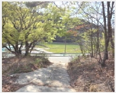  2025Ÿ��10943  ����