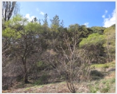  2025Ÿ��10943  ����