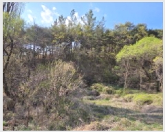  2025Ÿ��10943  ����